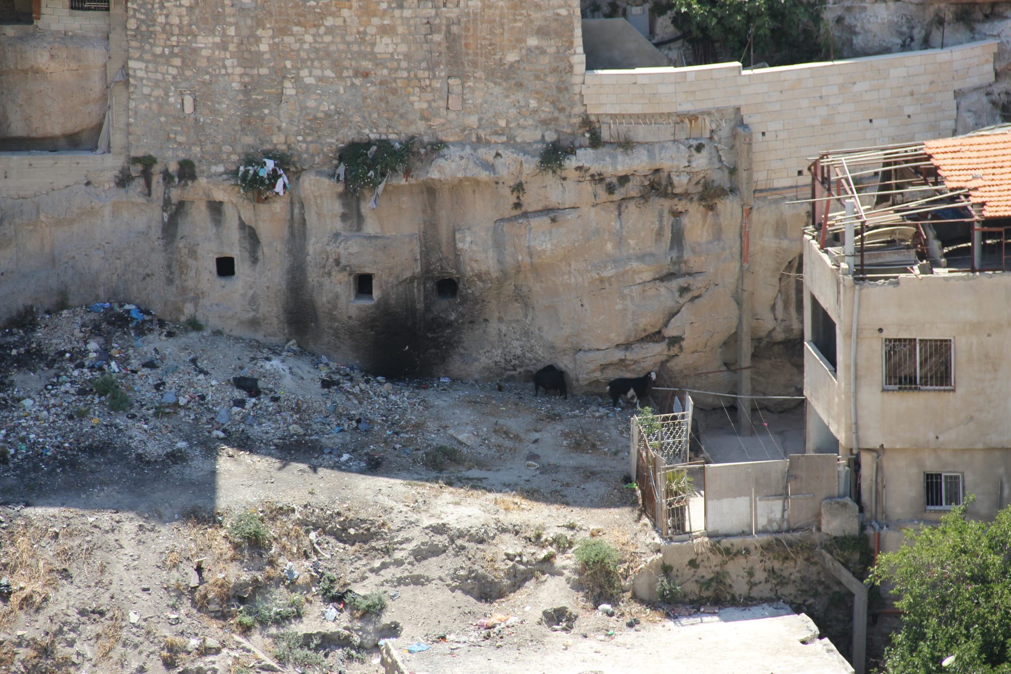 City of David 8